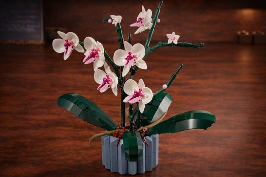 Bloques de construcción | LEGO Botanicals Orquídeas | 798 piezas