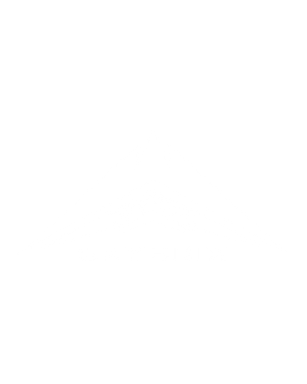 SkyBrix